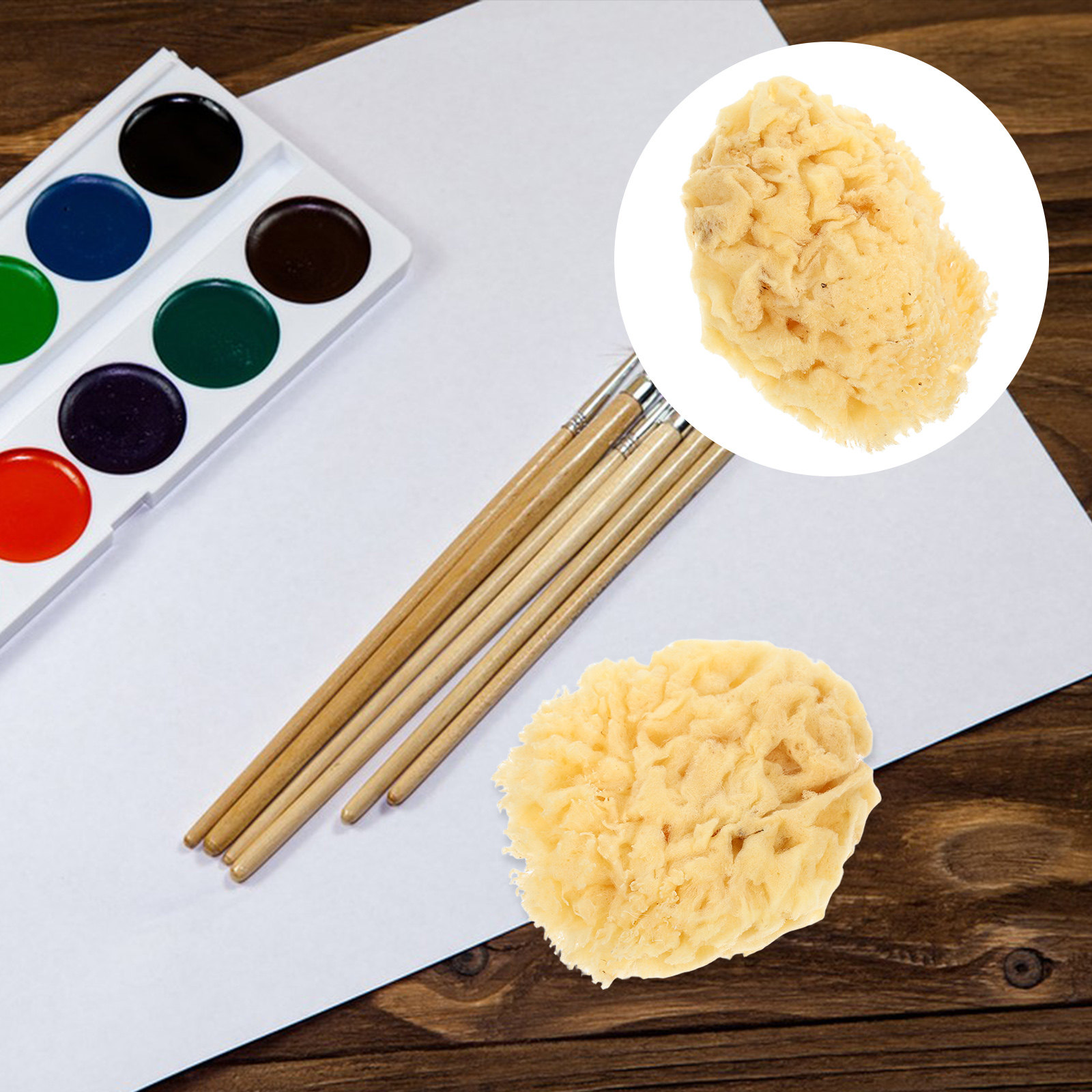 Art Craft Easy - Esponja de Mar Natural Macia de
