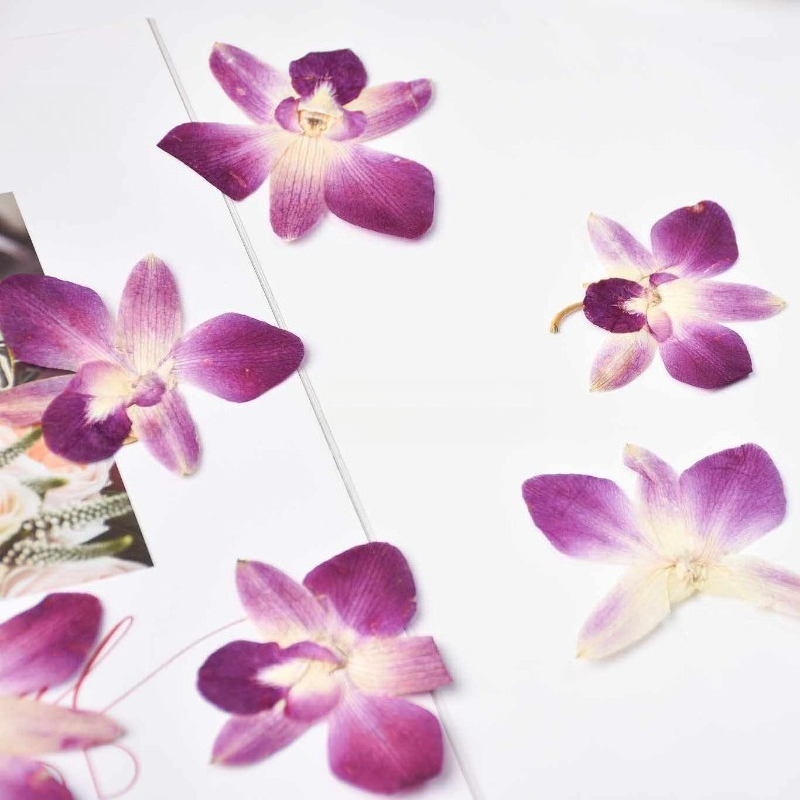 4 peças, Flores de Orquídea Bo - Art And Craft Photos avaliação e preço
