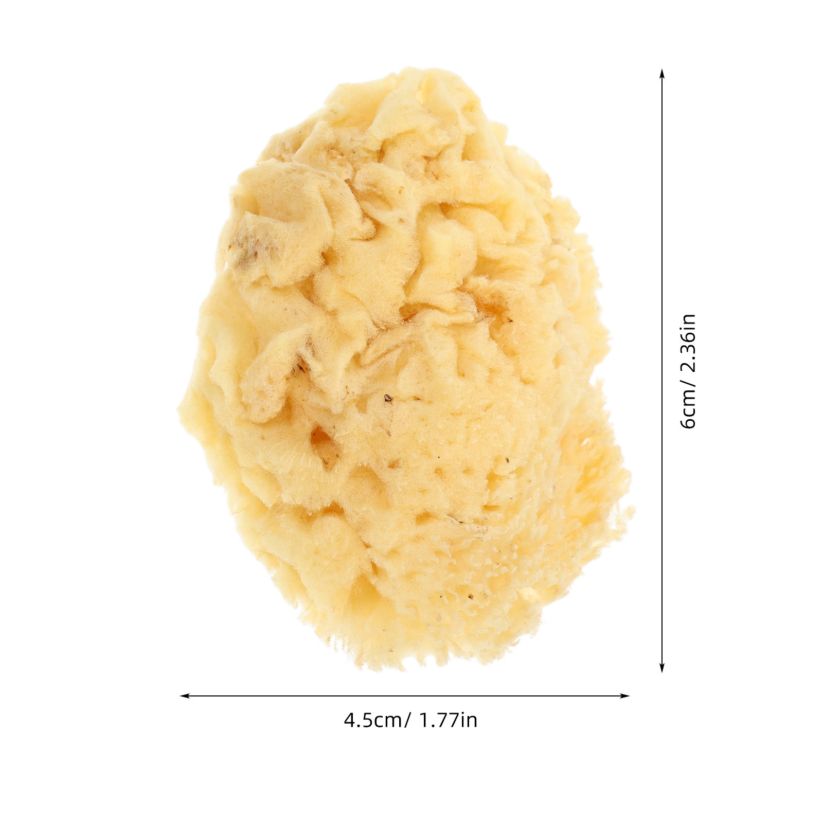 Esponja de Mar Natural Macia d - Art Craft Easy avaliação e preço